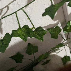 Meet your Posher, Hailey